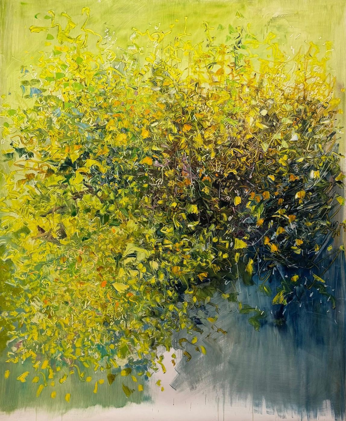 Letizia Fornasieri, Ginestre, olio su tela, 170x140 cm
