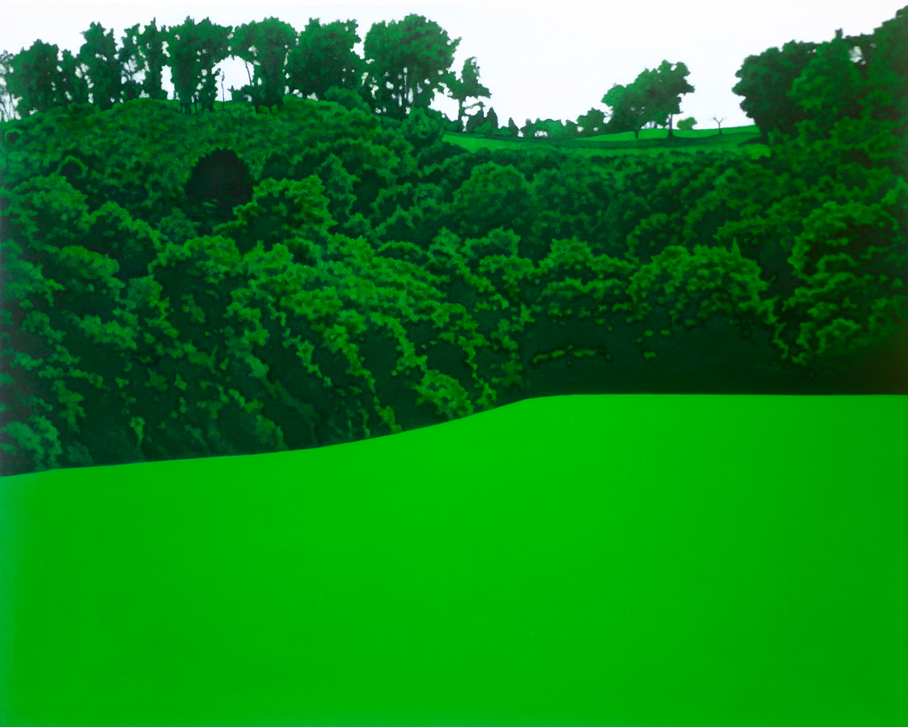 Valentina D'Amaro, Untitled, 2011, oil on canvas, 80x100 cm